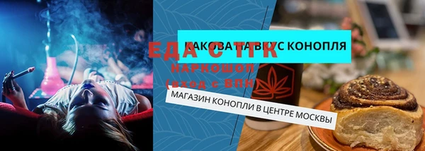 индика Гусь-Хрустальный