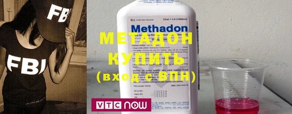 индика Гусь-Хрустальный