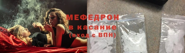 индика Гусь-Хрустальный