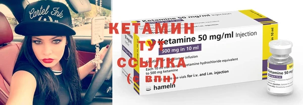 индика Гусь-Хрустальный