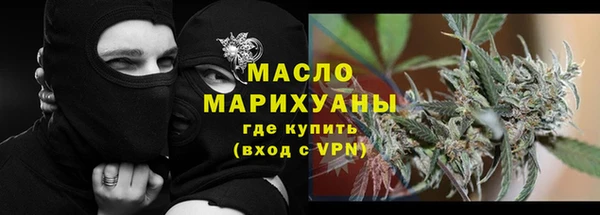 индика Гусь-Хрустальный