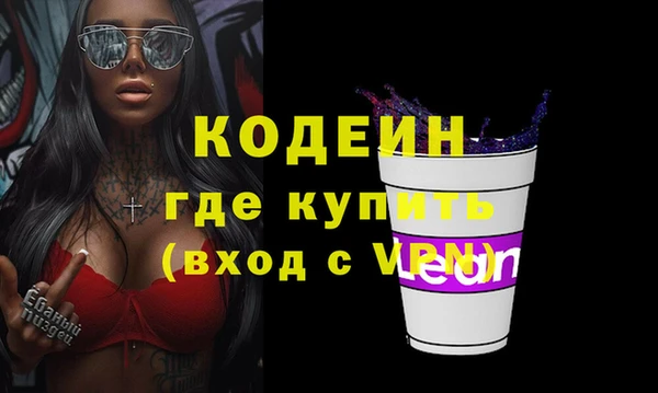 индика Гусь-Хрустальный