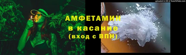 индика Гусь-Хрустальный