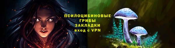 мяу мяу мука Гусев