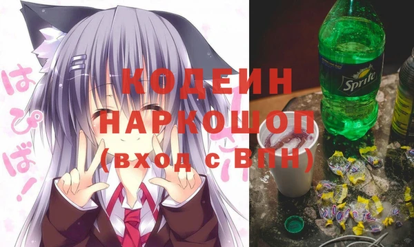 индика Гусь-Хрустальный