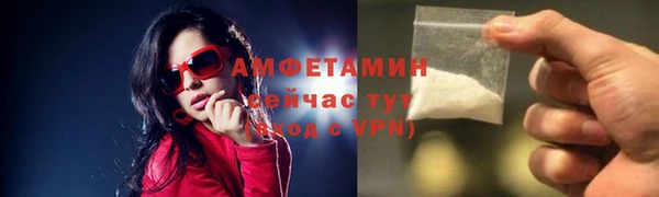 индика Гусь-Хрустальный