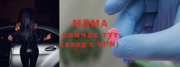 индика Гусь-Хрустальный