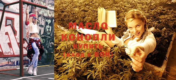 индика Гусь-Хрустальный