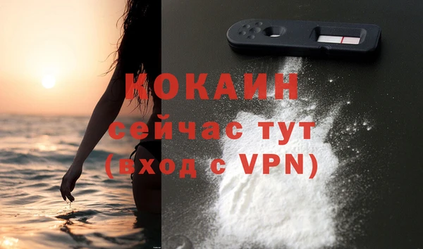 мяу мяу мука Гусев