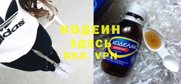 индика Гусь-Хрустальный