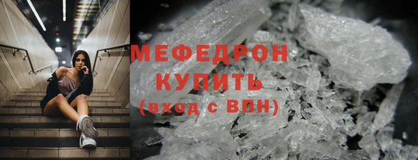 индика Гусь-Хрустальный