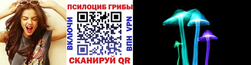 Купить Буинск Псилоцибиновые грибы ЛСД